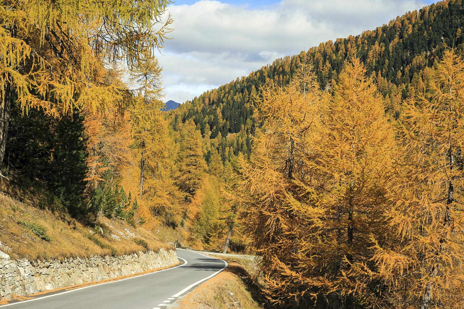 Stelvio Pass